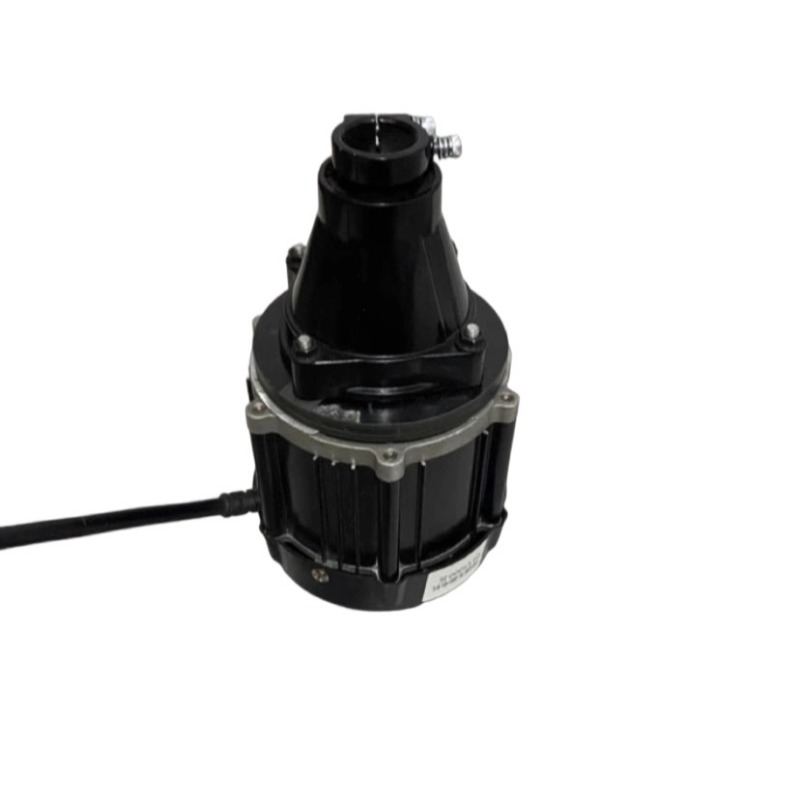 12–60 V 500–1500 W bürstenlose – Fishing Boat Outboard Motor Bewertung und Preis